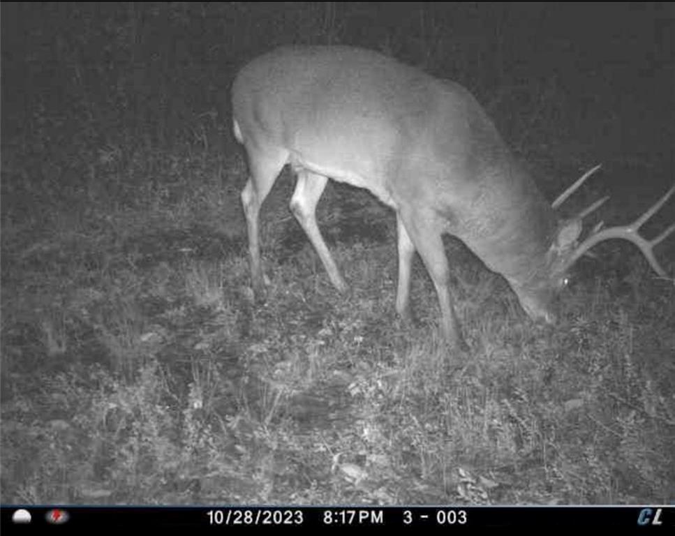 26112 State Rte D Cleveland, MO 64734 - Photo 46 of 61