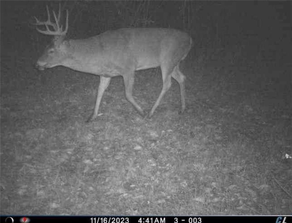 26112 State Rte D Cleveland, MO 64734 - Photo 47 of 61