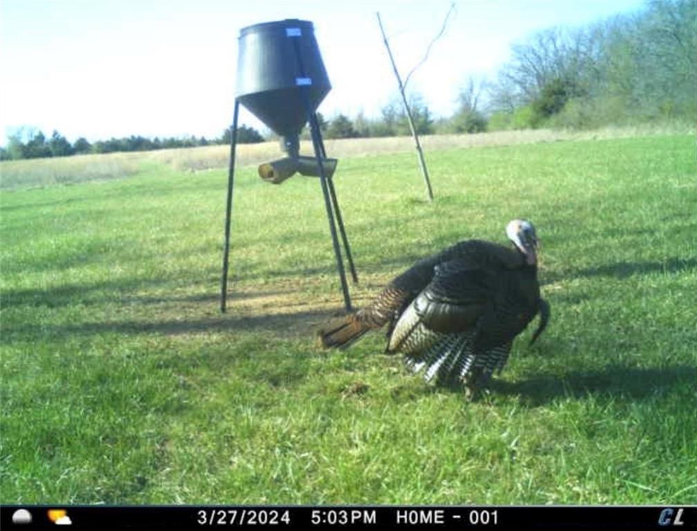 26112 State Rte D Cleveland, MO 64734 - Photo 48 of 61