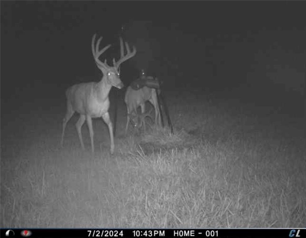 26112 State Rte D Cleveland, MO 64734 - Photo 50 of 61