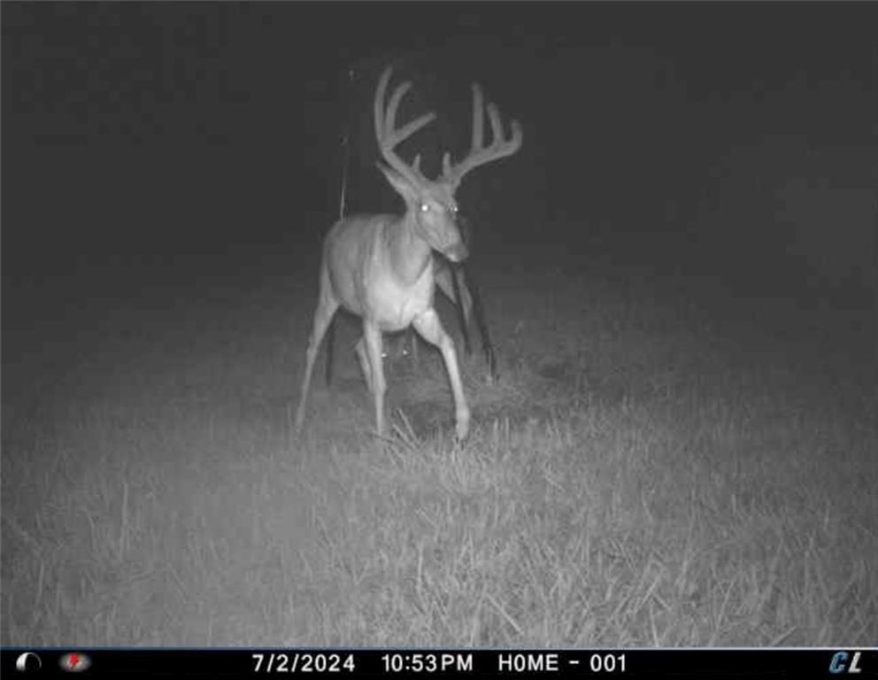 26112 State Rte D Cleveland, MO 64734 - Photo 51 of 61