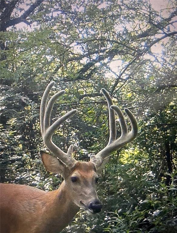 26112 State Rte D Cleveland, MO 64734 - Photo 52 of 61