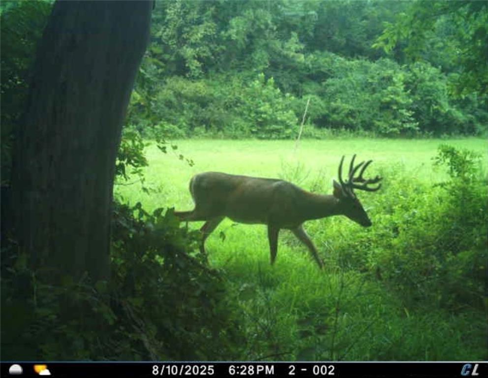 26112 State Rte D Cleveland, MO 64734 - Photo 54 of 61