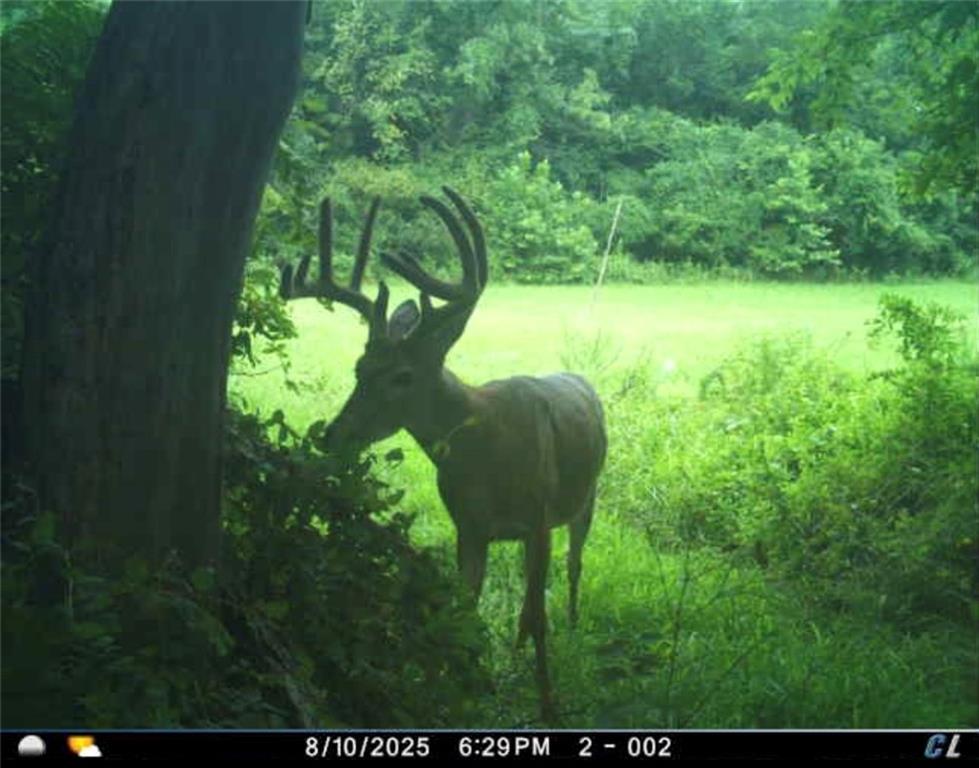 26112 State Rte D Cleveland, MO 64734 - Photo 56 of 61