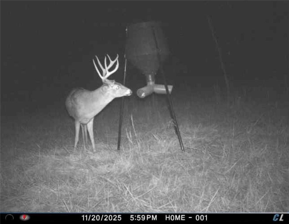 26112 State Rte D Cleveland, MO 64734 - Photo 57 of 61