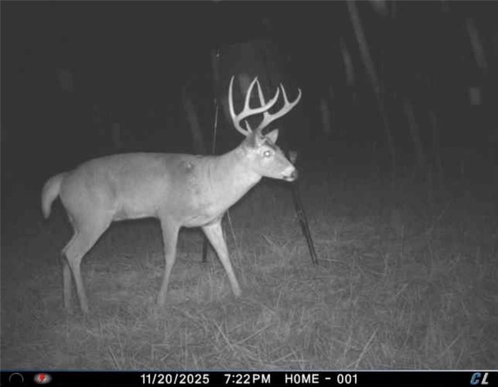 26112 State Rte D Cleveland, MO 64734 - Photo 58 of 61