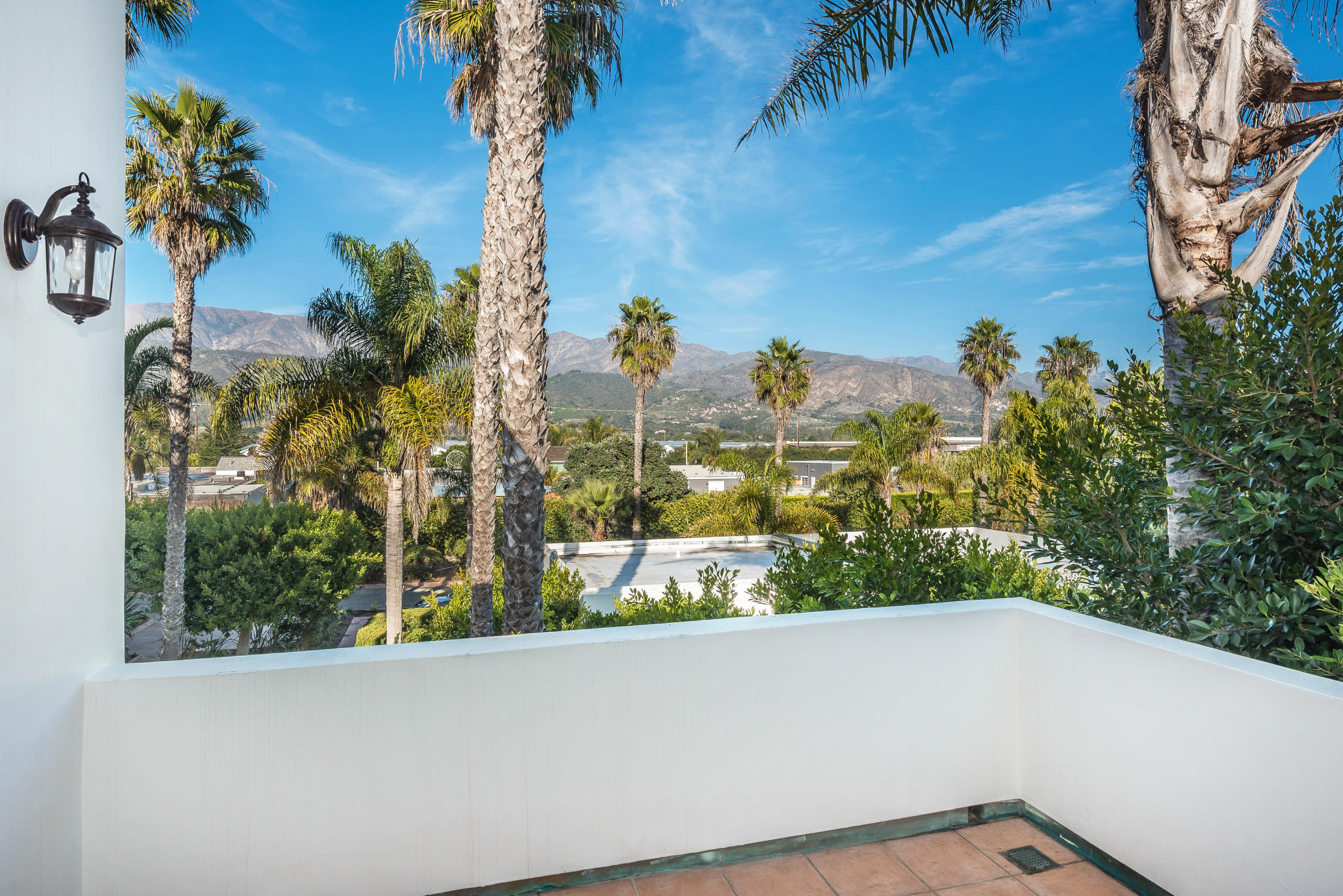 875 Sand Point Road Carpinteria, CA 93013 - Photo 16 of 25 a view of a tree in a yard