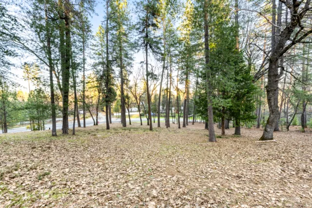 $250,000 | 15215 Woodmont Lane, Meadow Vista, CA 95722