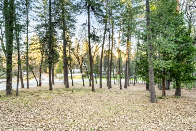 $250,000 | 15215 Woodmont Lane, Meadow Vista, CA 95722