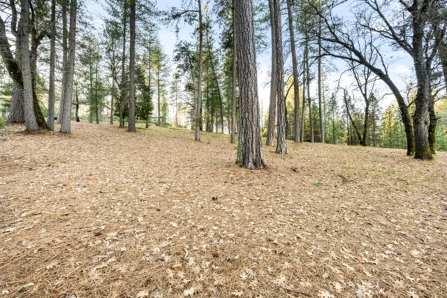 $250,000 | 15215 Woodmont Lane, Meadow Vista, CA 95722