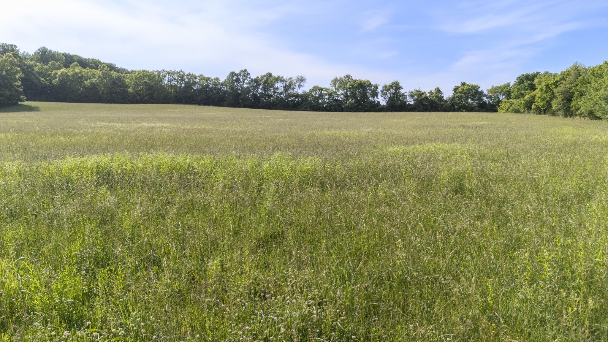 0 Norwood Creek Road Winchester, TN 37398 - Photo 18 of 18