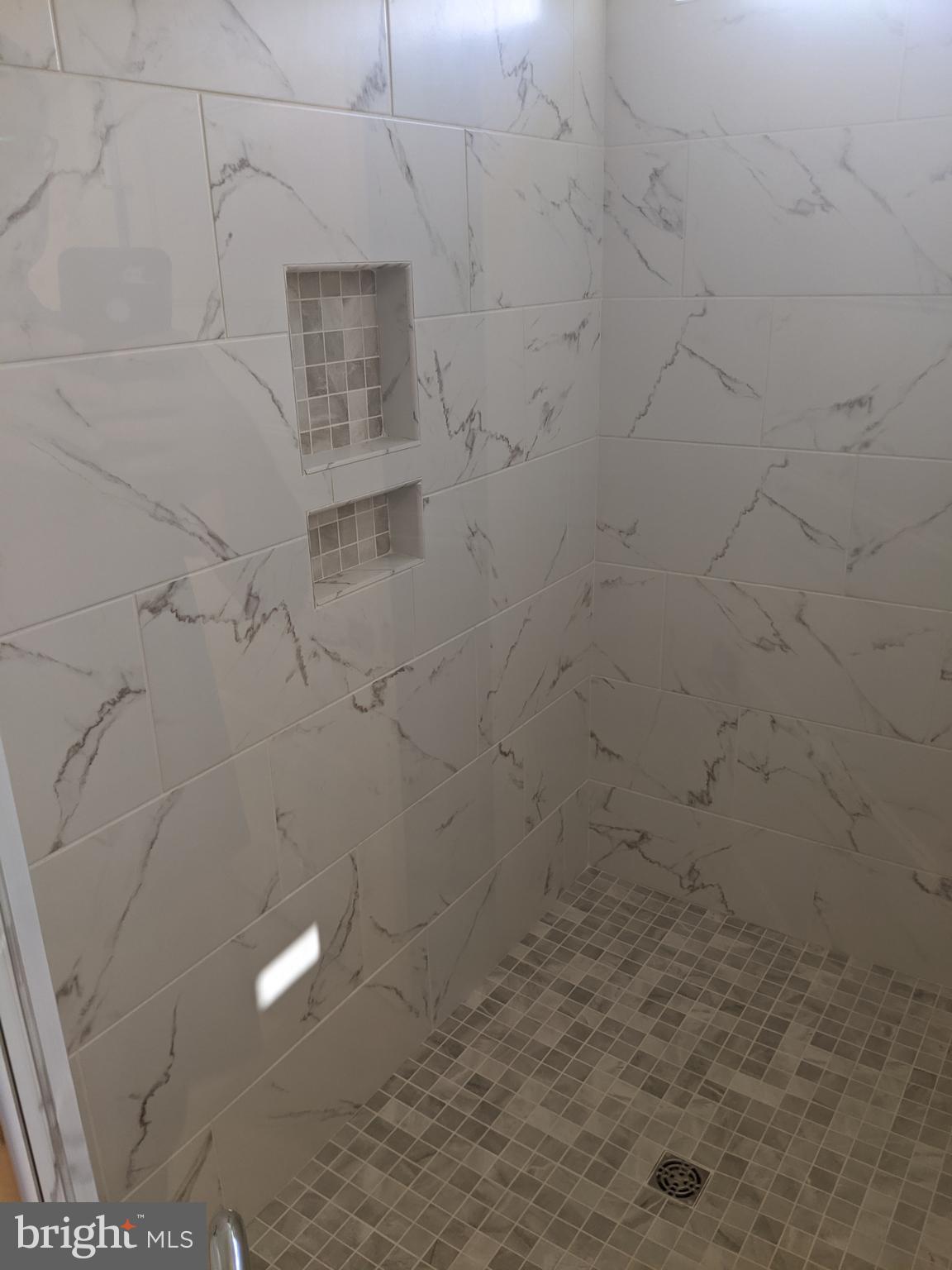 16448 Four Leaf Drive Lewes, DE 19958 - Photo 32 of 45 Owners Shower