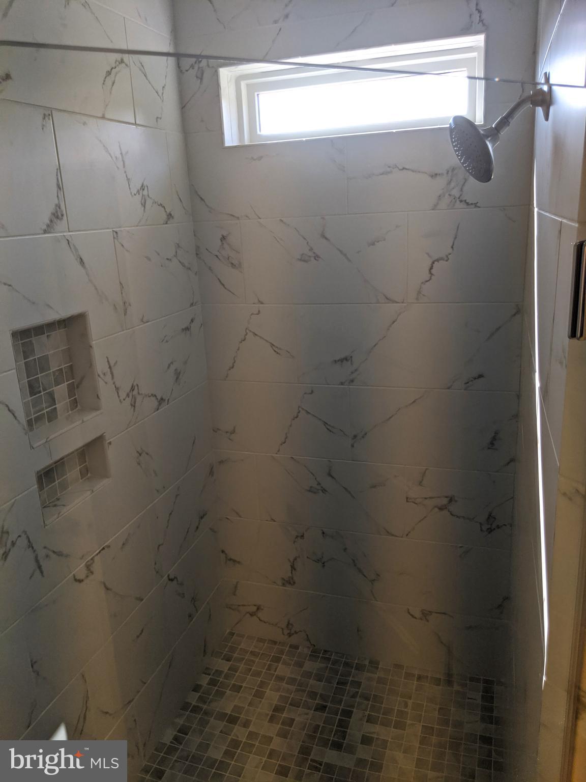 16448 Four Leaf Drive Lewes, DE 19958 - Photo 33 of 45 Owners Shower