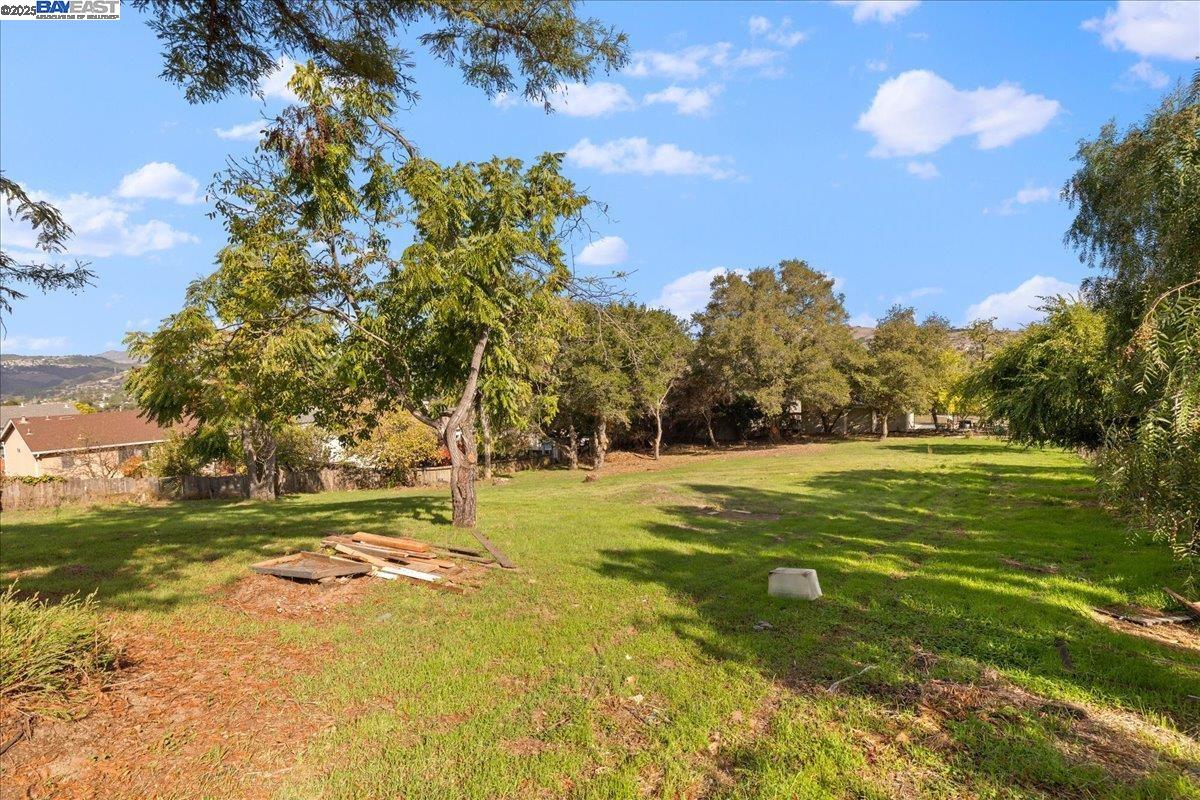 3280 Ohlone Way Hayward, CA 94541 - Photo 43 of 48 a view of field with large trees