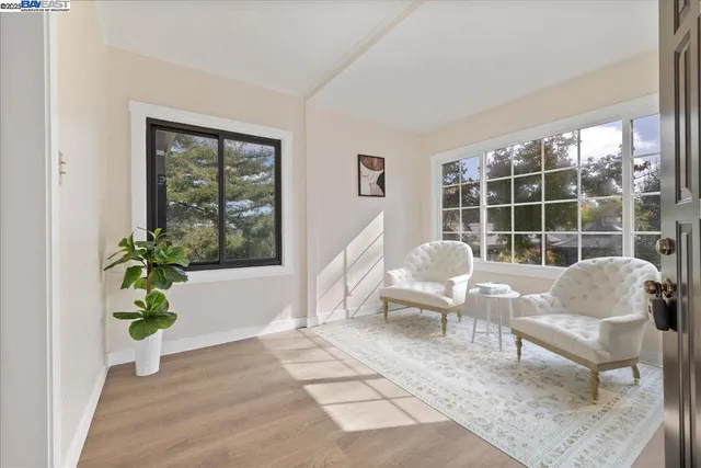 a living room with furniture and a potted plant