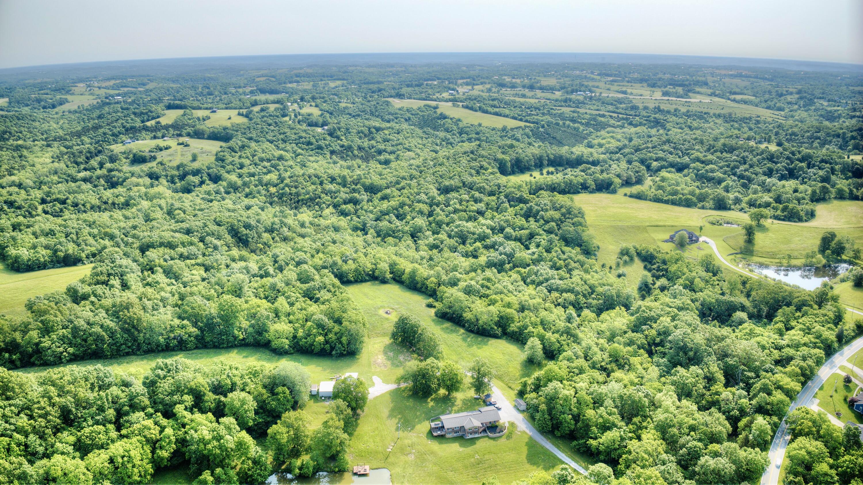 0 Peach Grove Road California, KY 41007 - Photo 15 of 22 13