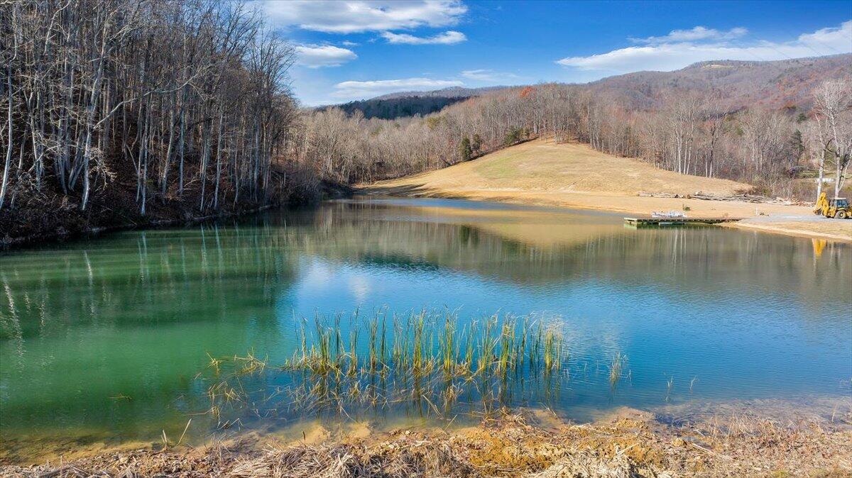 5841 Twine Hollow Road Salem, VA 24153 - Photo 14 of 22 10-DJI_20241203112928_0018_D_MIB