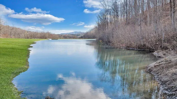 a view of a lake from a yard