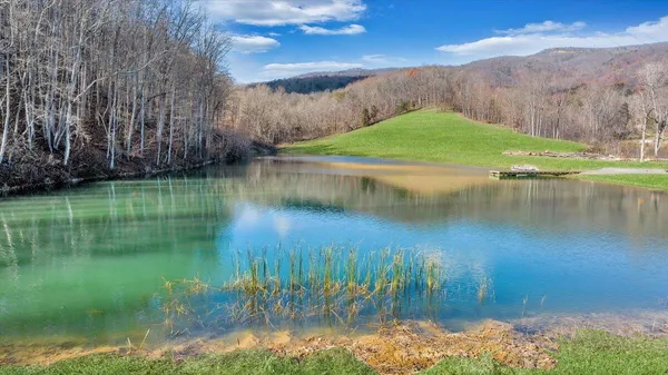 a view of backyard with slide