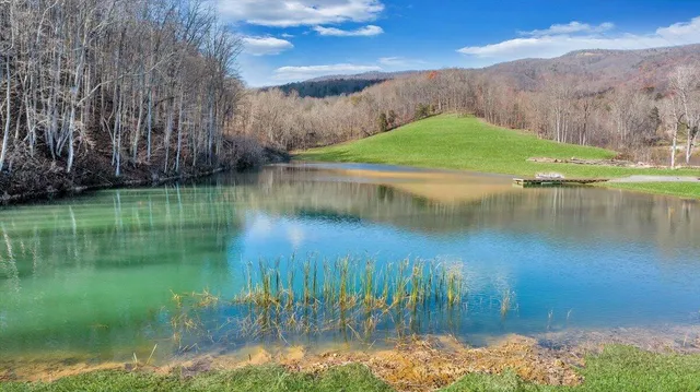 a view of backyard with slide