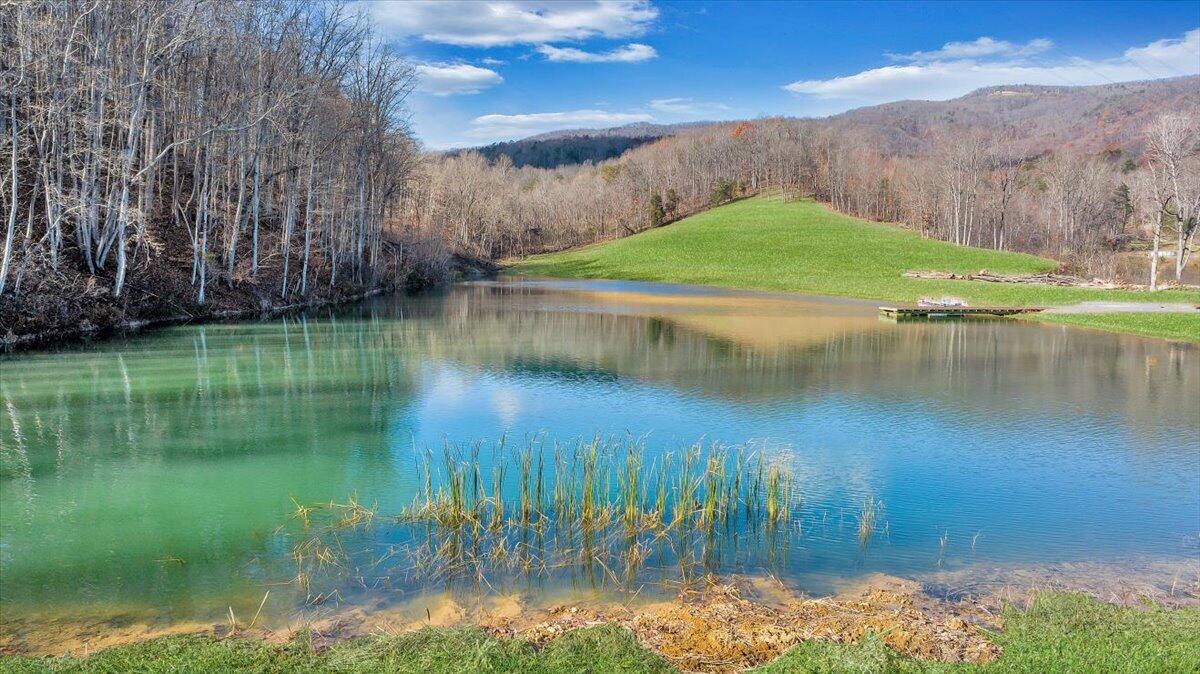 5841 Twine Hollow Road Salem, VA 24153 - Photo 4 of 22 52-52-DJI_20241203112928_0018_D_MIB