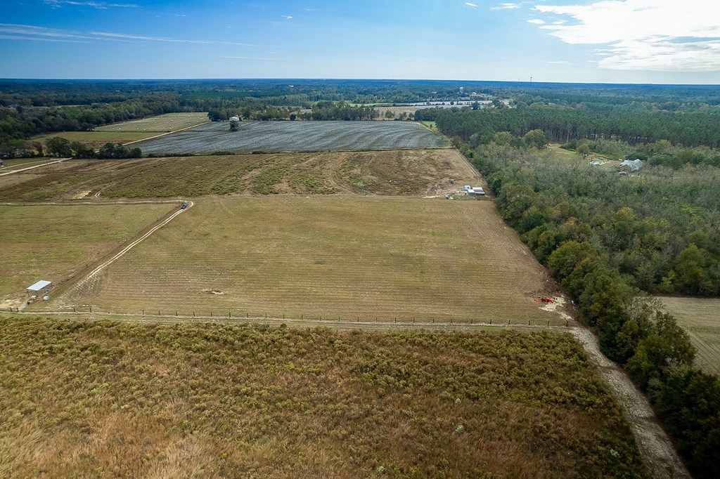 0 J B J B Jackson Road Webb, AL 36376 - Photo 35 of 38