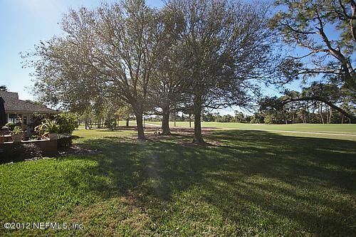 322 Pablo Road Ponte Vedra Beach, FL 32082 - Photo 17 of 19 a big yard with trees