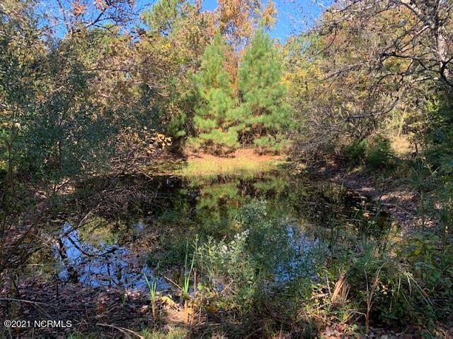 358 Eagle Road Newport, NC 28570 - Photo 13 of 14 Pond