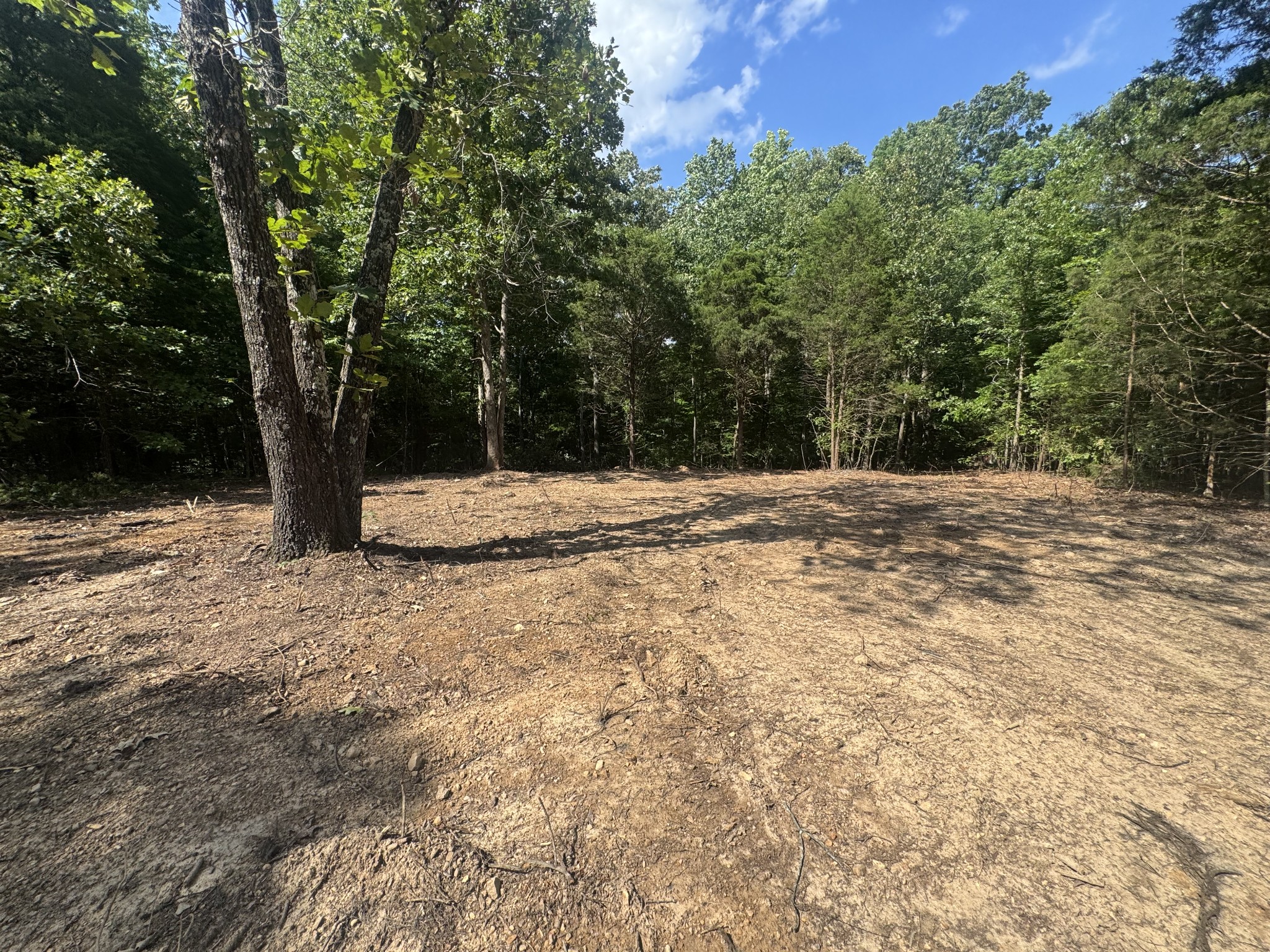 1 Commissary Ridge Road Indian Mound, TN 37079 - Photo 6 of 9 a white house covered with tall trees