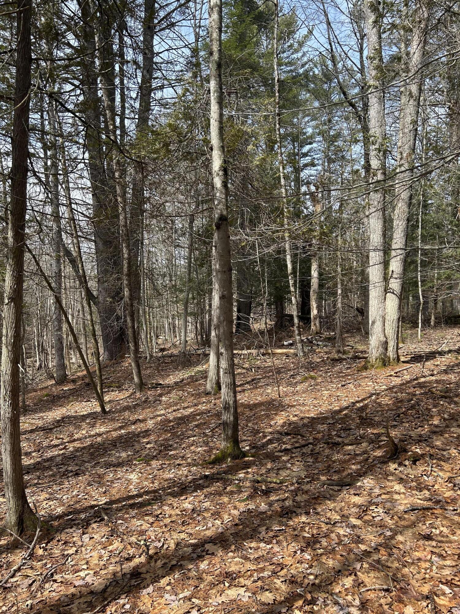 M107-l3 Chase Road Readfield, ME 04355 - Photo 11 of 12 IMG_8950