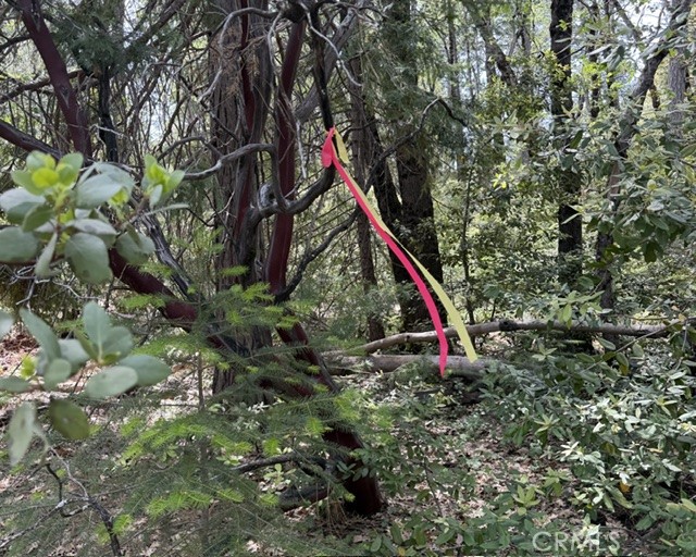 0 Platt Mountain Road Forest Ranch, CA 95942 - Photo 5 of 6 Eastern border of property.