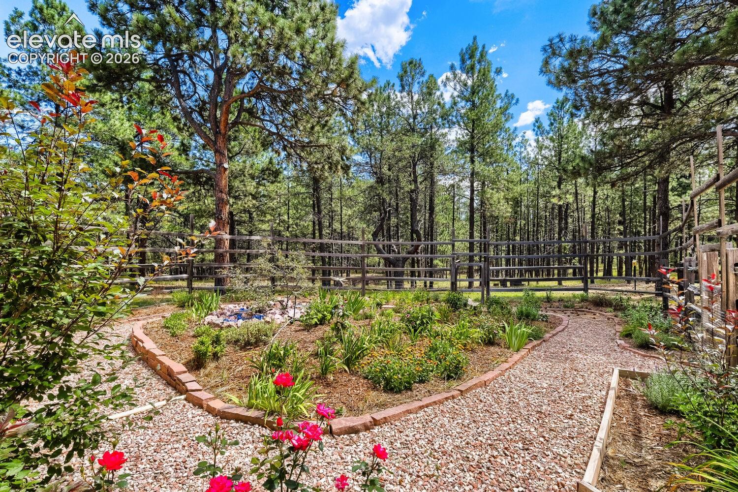 9890 Hardy Road Colorado Springs, CO 80908 - Photo 47 of 50 Gardens delight!