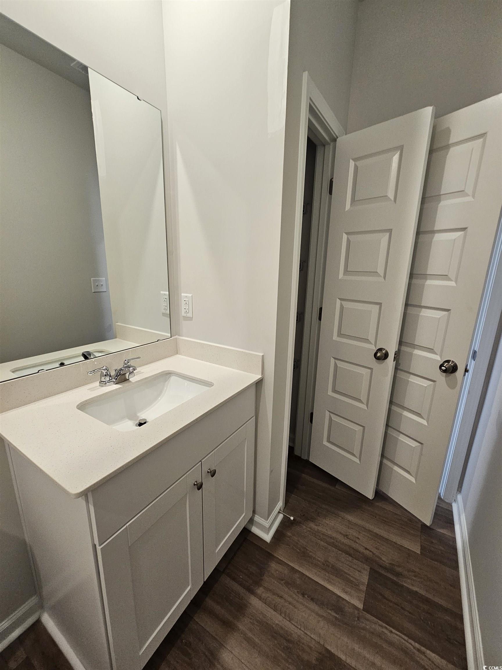 2096 Wild Indigo Circle Calabash, NC 28467 - Photo 19 of 29 Bathroom featuring vanity and dark wood-style floors