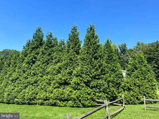 a backyard of a house with lots of green space