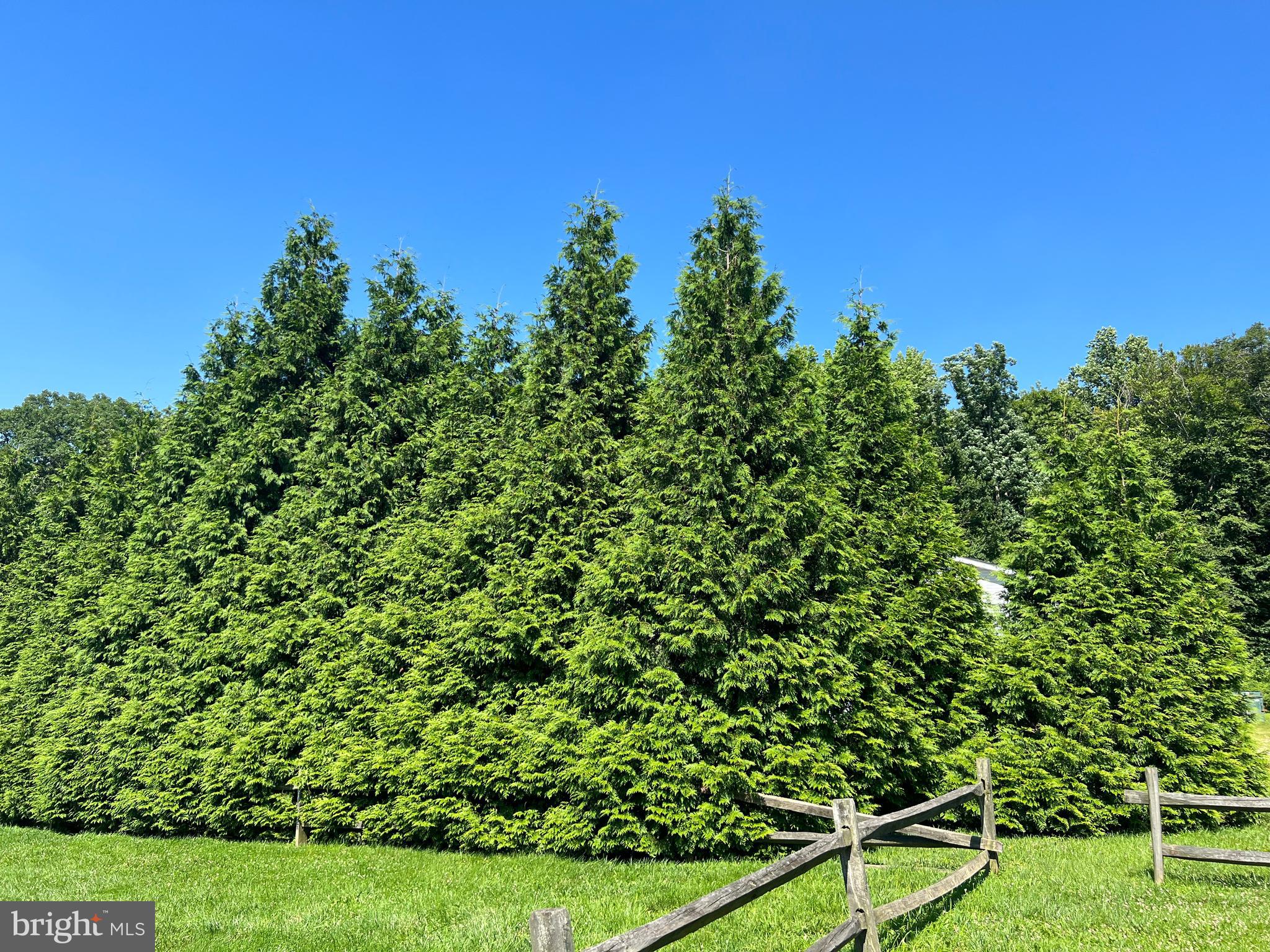 1636 Otts Chapel Road Newark, DE 19702 - Photo 24 of 24 a backyard of a house with lots of green space