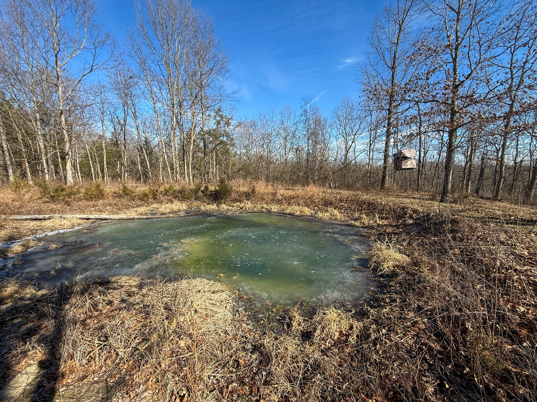 248 Sulphur Lick Road Frankfort, KY 40601 - Photo 5 of 50