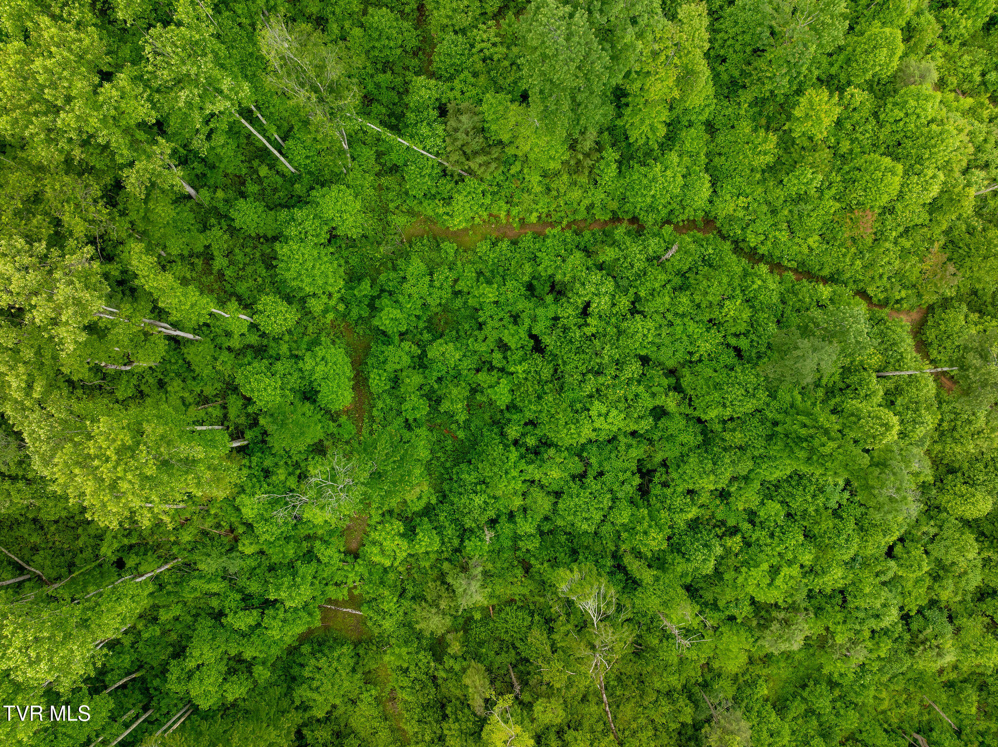 Tbd Walnut Mountain Road Butler, TN 37640 - Photo 12 of 36 DJI_0419