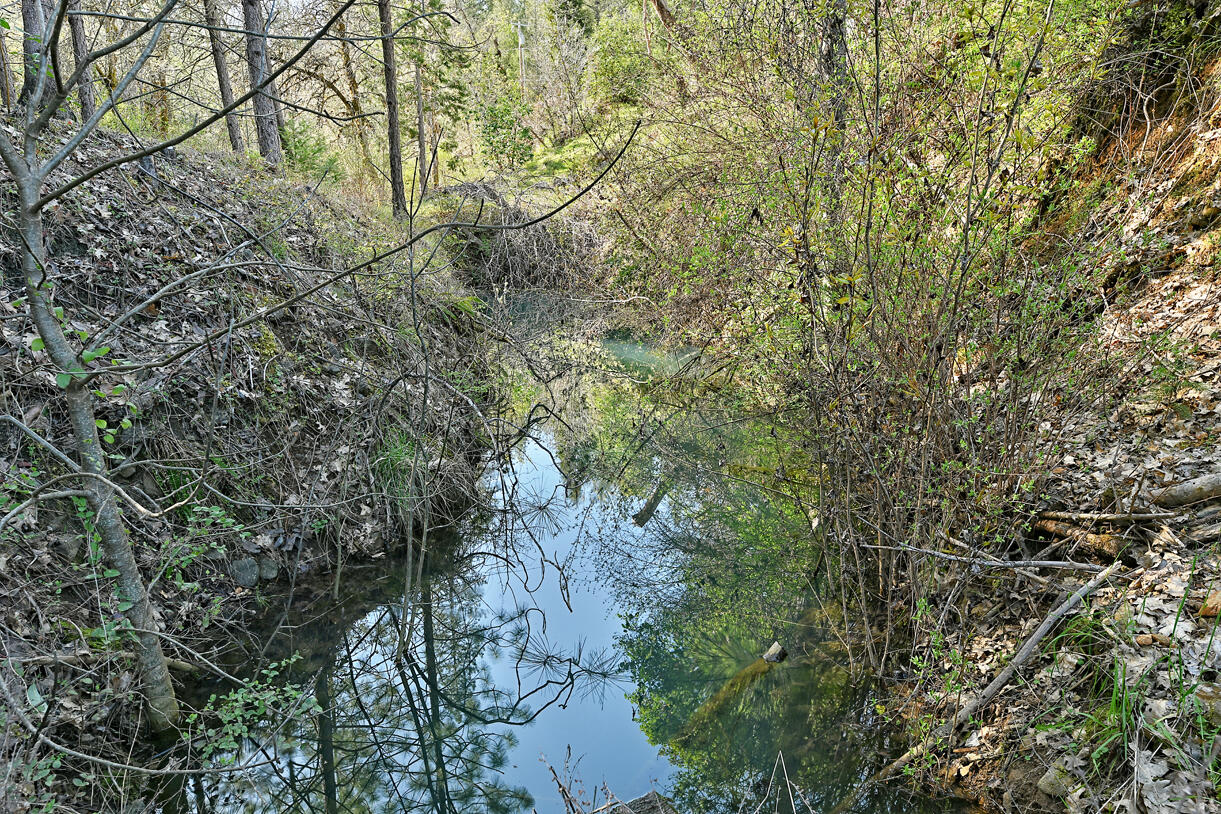 231 Fielder Creek Road Rogue River, OR 97537 - Photo 2 of 46 DSC_0412