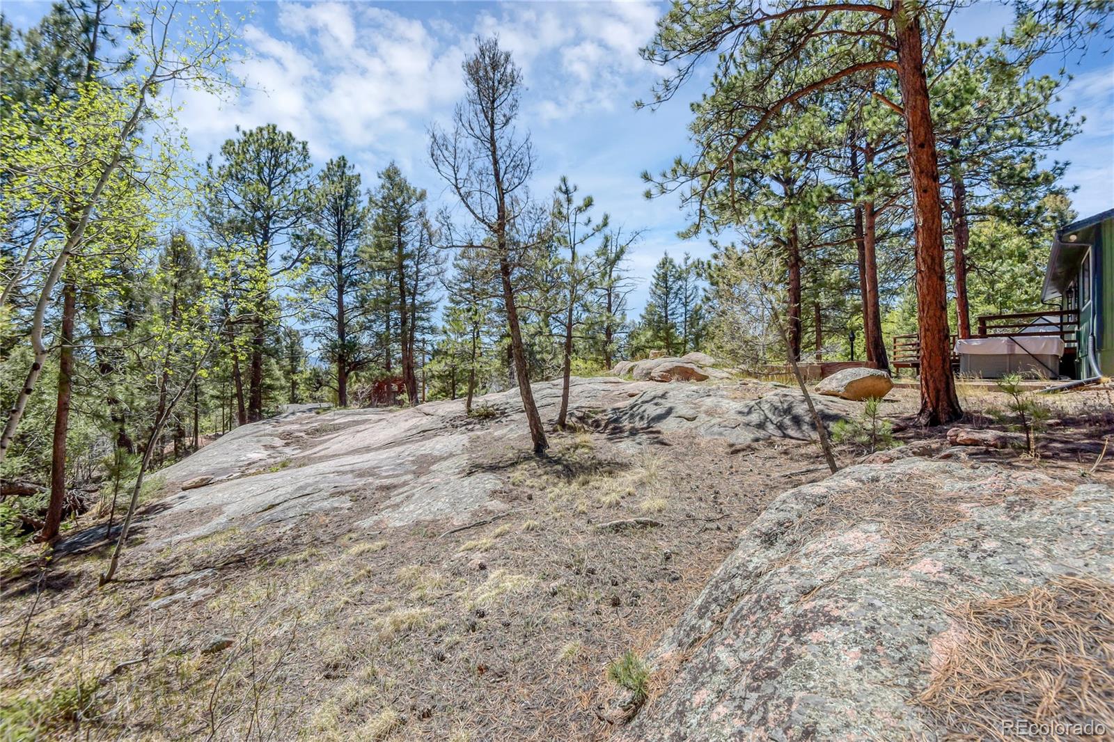 12276 South Styve Road Conifer, CO 80433 - Photo 19 of 21