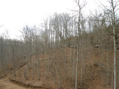 0 Old County Road McKee, KY 40447 - Photo 18 of 18 Photo 18