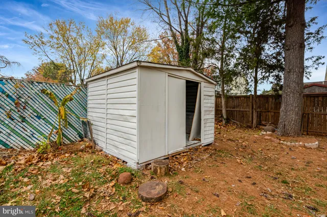 a view of a backyard with plants and large tree