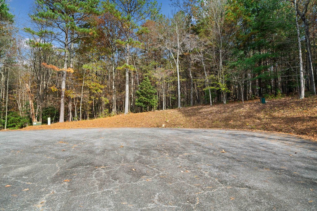 Lot 8 Highpoint Ridge Road Ellijay, GA 30536 - Photo 20 of 23 Gallery Image 20