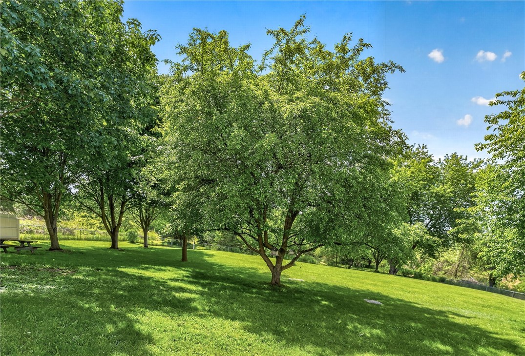 479 Churchville Riga Road Riga, NY 14428 - Photo 42 of 50