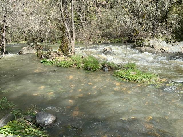 17214 Scopar Road Grass Valley, CA 95949 - Photo 1 of 1