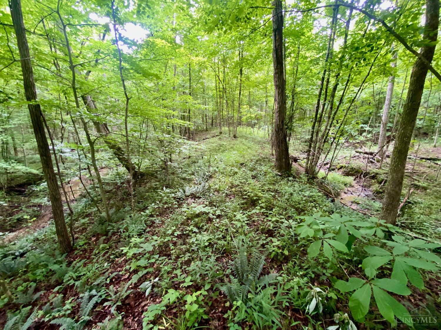 400 Lynn Morgan Road Seaman, OH 45679 - Photo 18 of 24