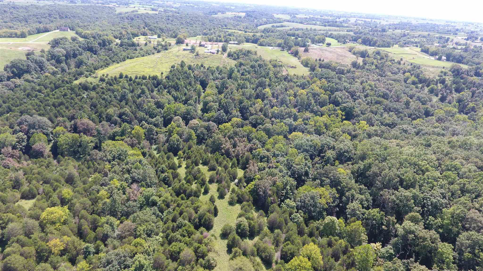 59.02 Acres Stewart Ridge Road Sparta, KY 41086 - Photo 18 of 30
