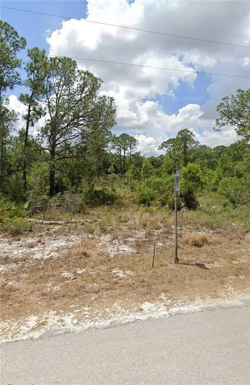a view of a dry yard with wooden fence
