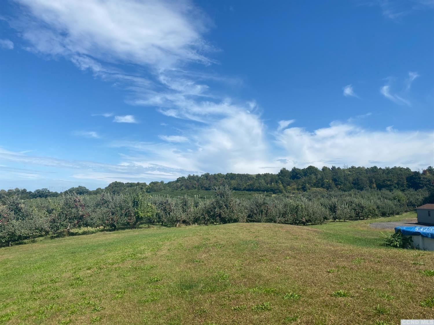 221 Cold Spring Road Livingston, NY 12534 - Photo 12 of 15 Photo 12