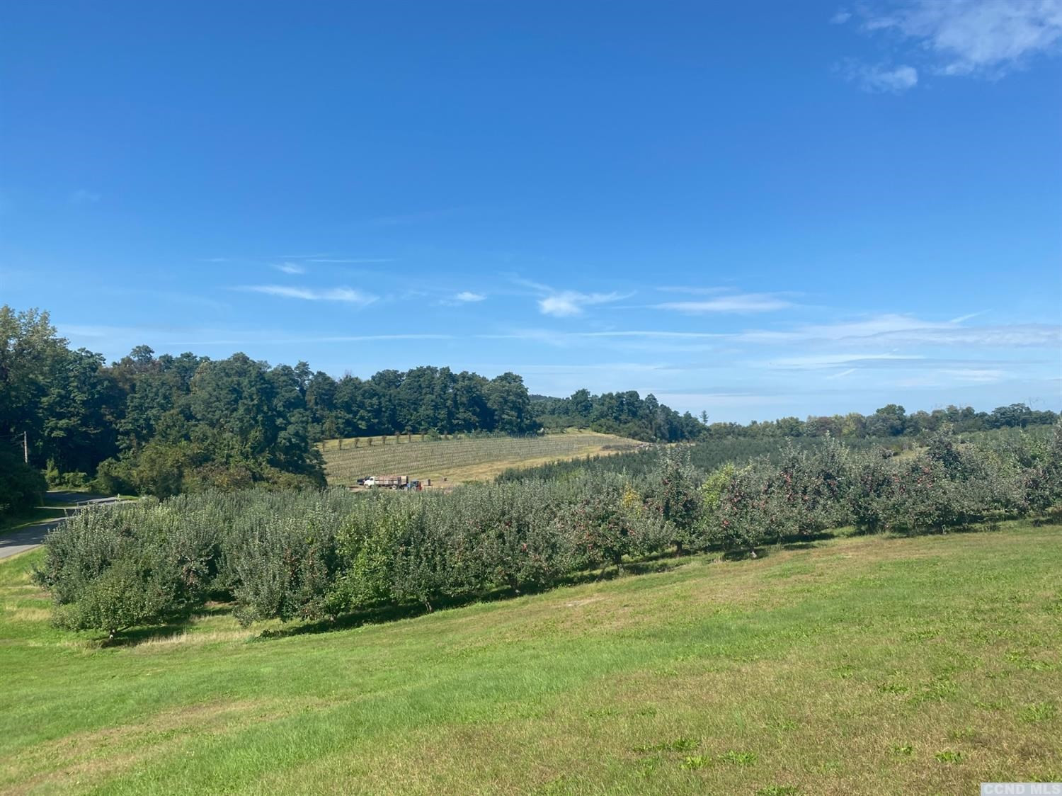 221 Cold Spring Road Livingston, NY 12534 - Photo 15 of 15 Photo 15