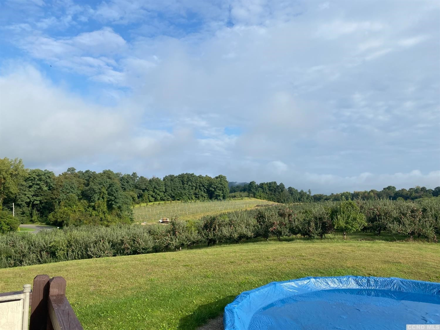 221 Cold Spring Road Livingston, NY 12534 - Photo 7 of 15 Photo 7